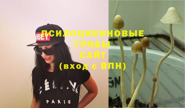 таблы Горняк