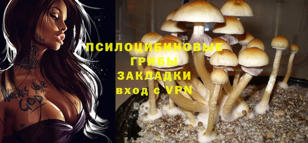 таблы Горняк