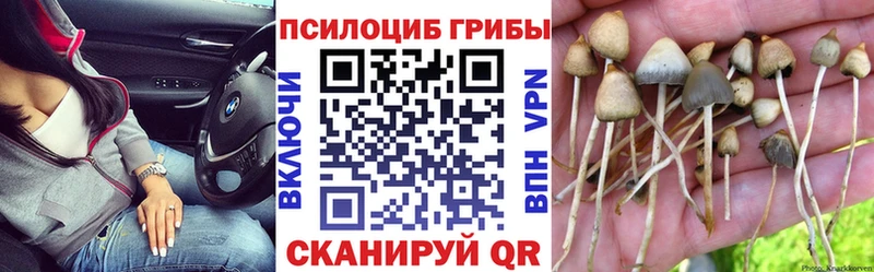 Галлюциногенные грибы ЛСД  Купить где  Ревда 